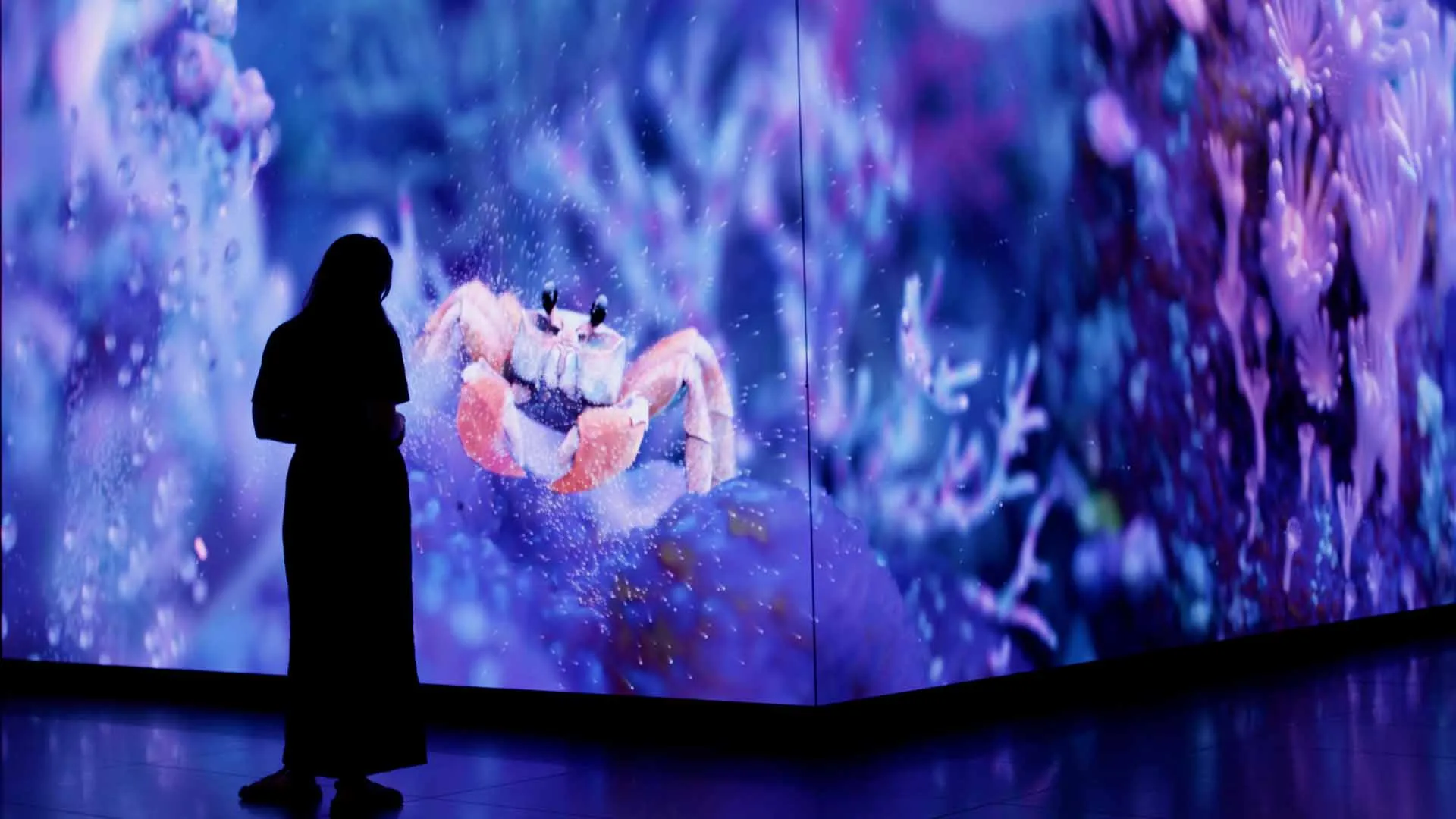 23.Springs - Image 11