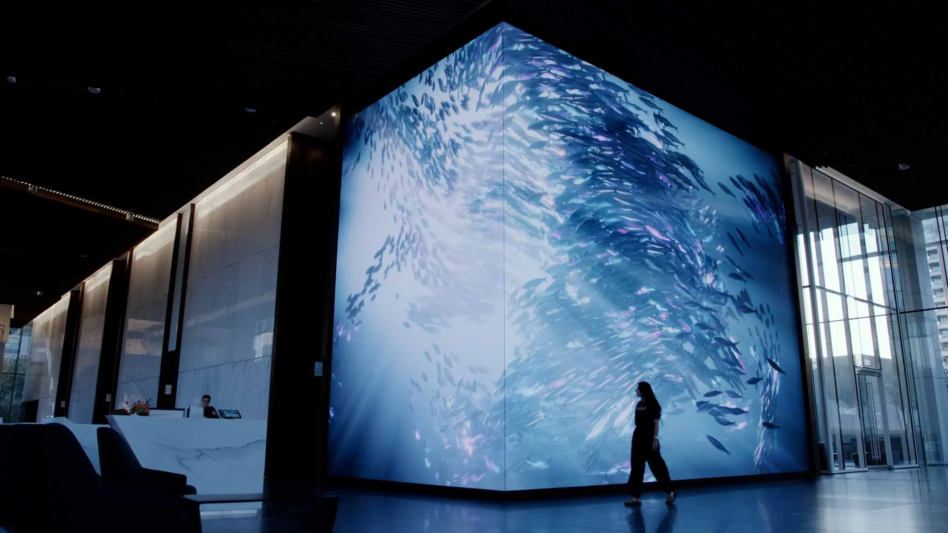 23Springs Underwater