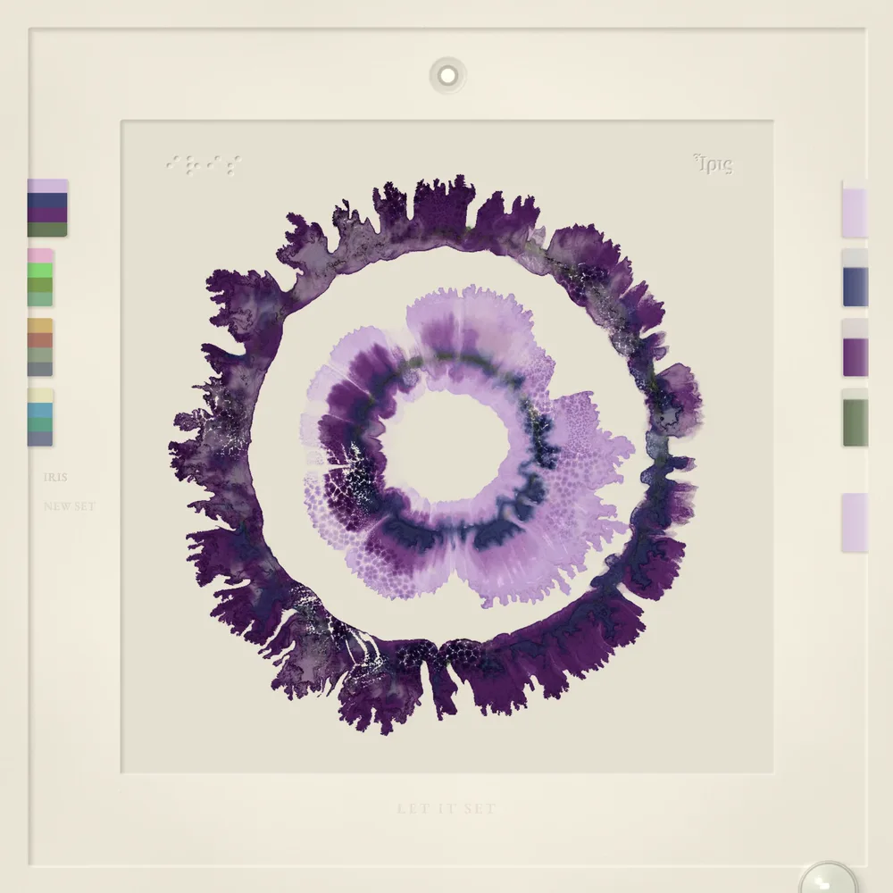 A dark violet fronded ring with a pale lavender ring blooming inside it
